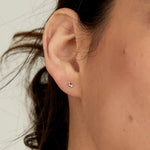Copy of 14kt Gold Stargazer Natural Diamond Huggie Hoop Earrings