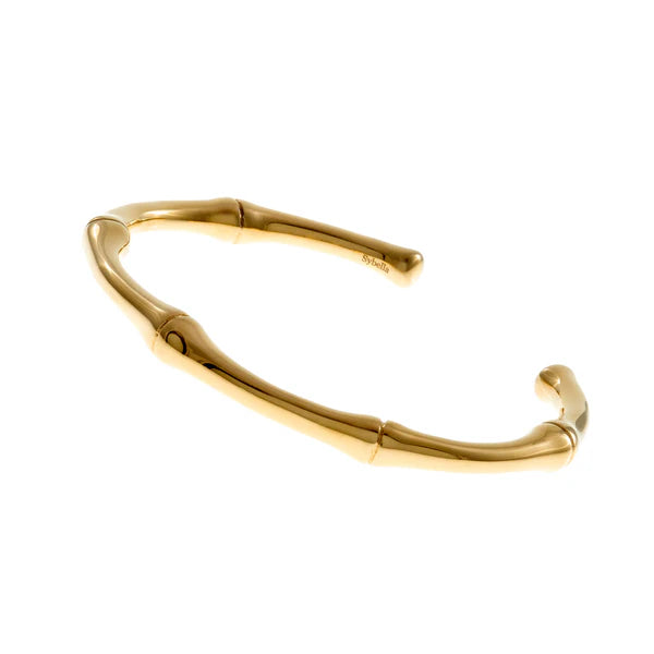 Sybella Abbie Gold Plate Stainless Steel Bangle