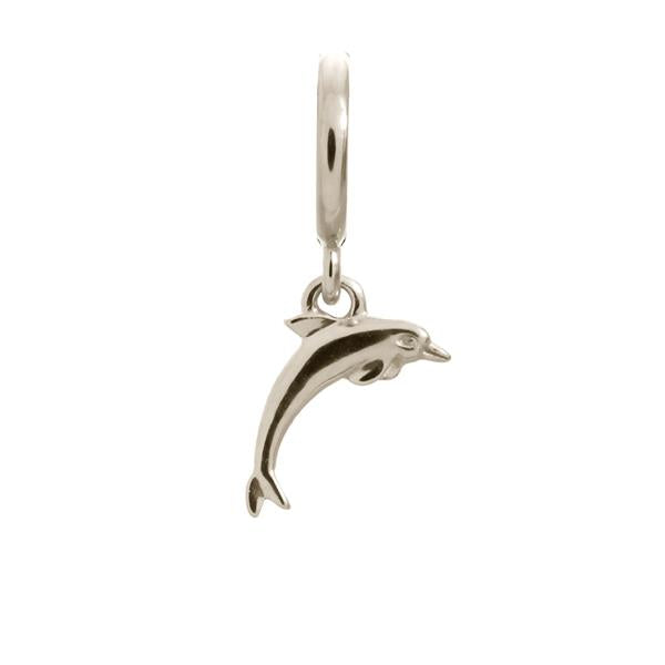 Endless Dolphin Silver Charm